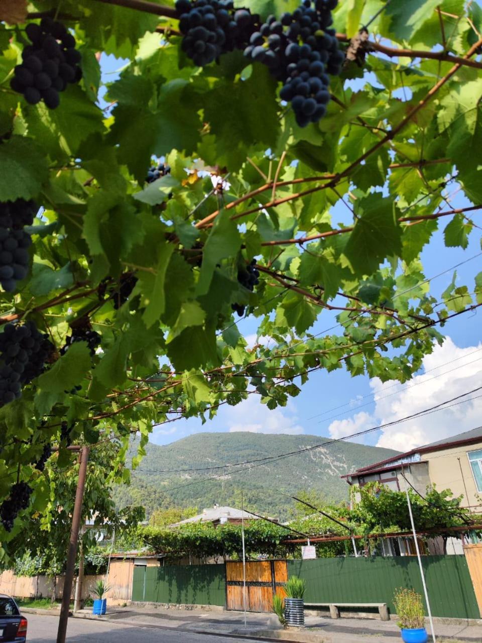 Chveni Ezo Hotel Ambrolauri Exterior foto